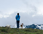 [Top of the world] - mountain ridge, clouds, snow, dogs, person, hiker, backpacking